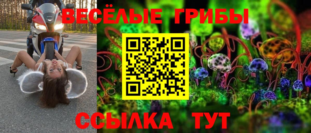 Псилоцибиновые грибы мицелий  Вход с VPN  Аша 